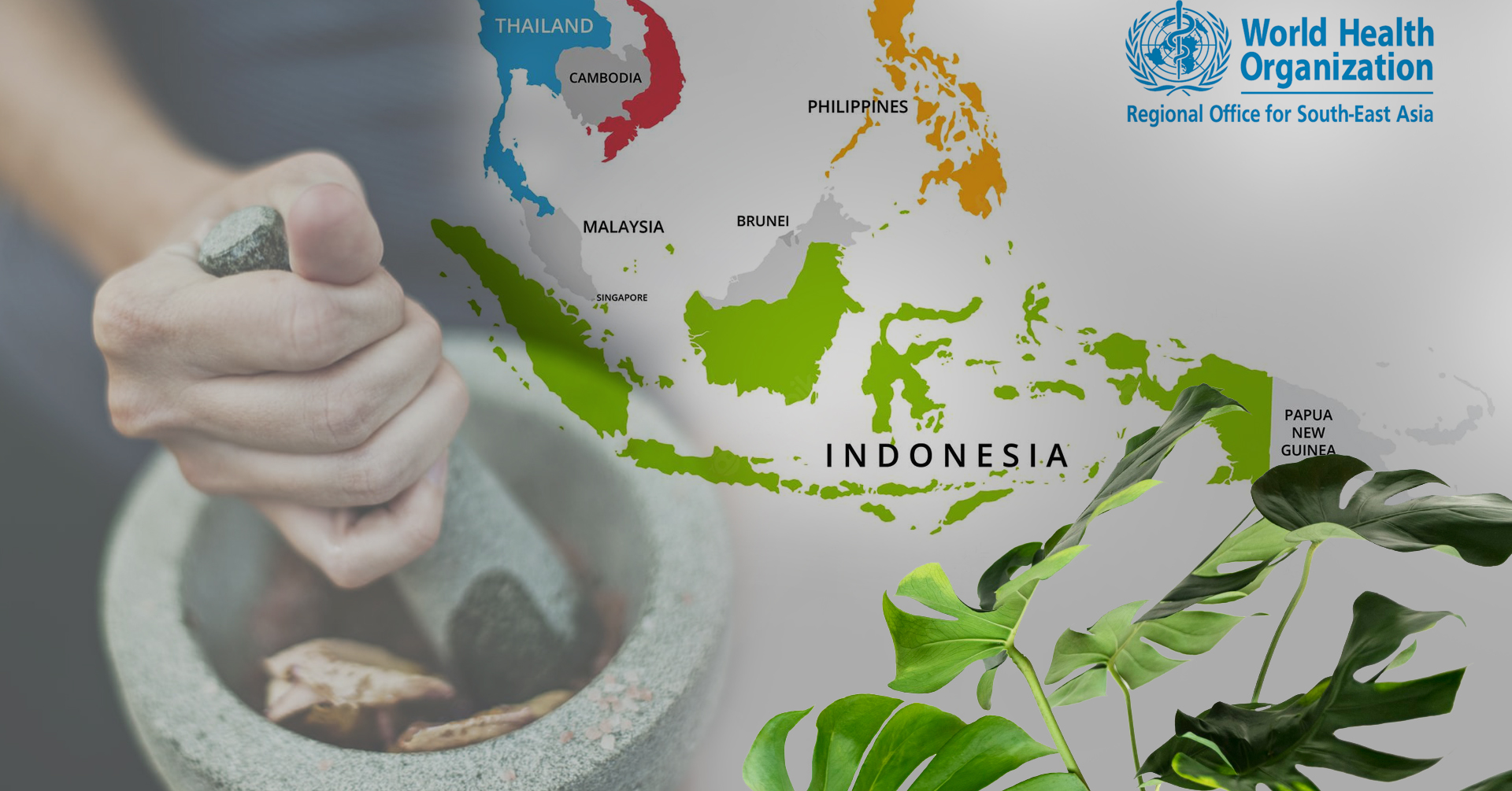 WHO-Conclave on Traditional Medicine in South-East Asia Region ( - 9mnt